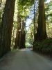 2010-09-24+11_30_34.jpg