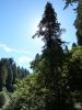 2010-09-24+11_51_37.jpg