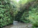 2010-09-24+17_42_15.jpg