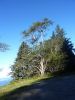 2010-09-25+09_40_38.jpg