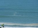 2010-09-25+11_36_09-002.jpg