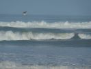2010-09-26+08_33_53.jpg