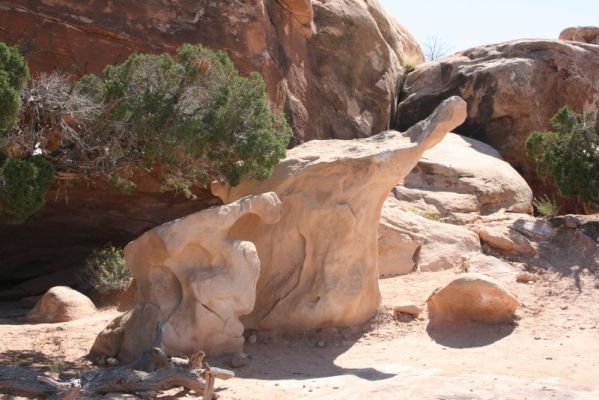 "Elefanten"
Elefanten im Canyonlands Nationalpark
