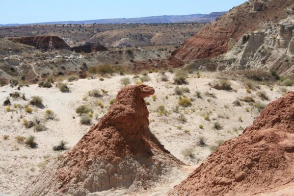 "Adler"
Adler bei den Toadstool Hoodoos
