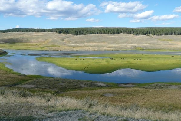 Hayden Valley, Yellowstone NP
Schlüsselwörter: Hayden Valley, Yellowstone, Nationalpark, USA, Wyoming, Bison, Büffel