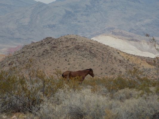 253_(640x480).jpg