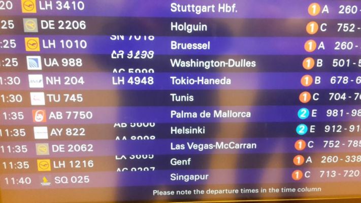 Flug3.jpg