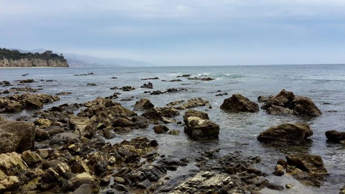 malibu5.jpg