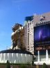 IMG_5816_(478x640).jpg