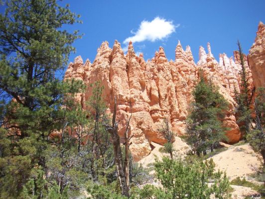 Bryce Canyon
