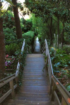Filbert Steps, San Francisco
