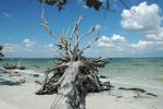 Sanibel1.jpg