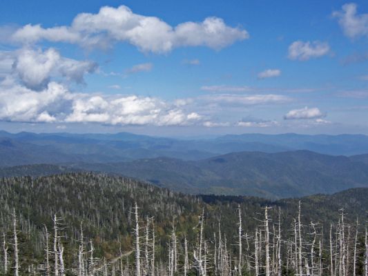 Great Smoky Mountains NP, Tennessee
