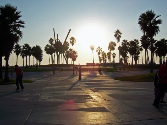 Skater am Venice Beach, CA
