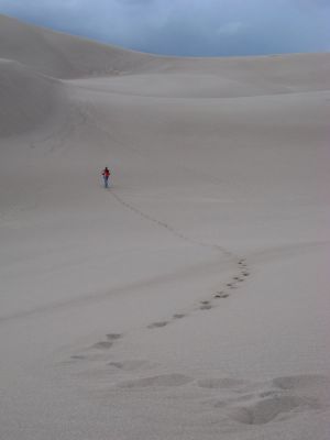 Einsamer Wanderer
