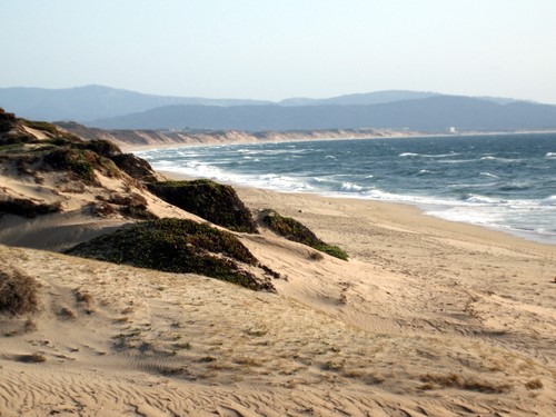 Marina Strand
