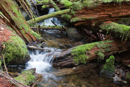 070925_10-13-45.jpg