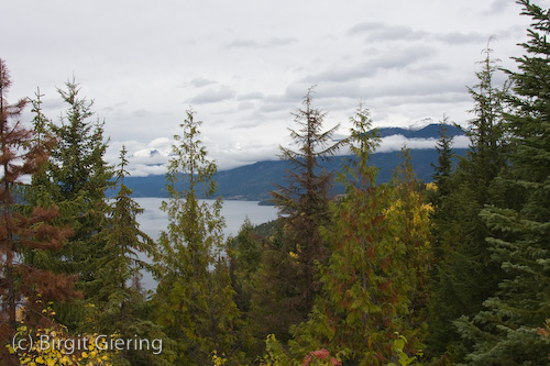 070929_11-47-59.jpg