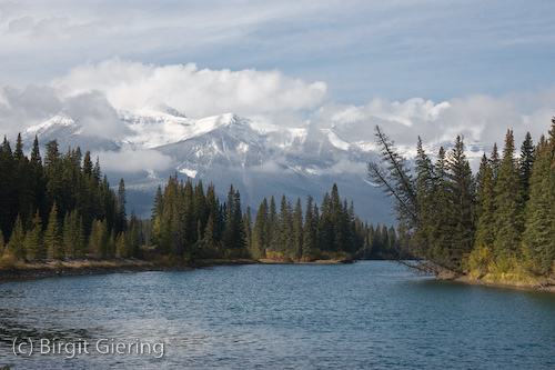 071005_10-36-41.jpg