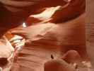 Rabe im Lower Antelope Canyon