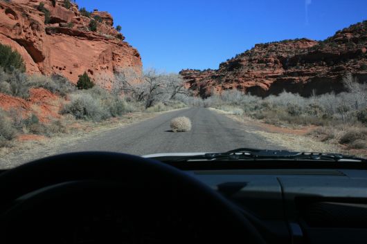 IMG_8408.jpg