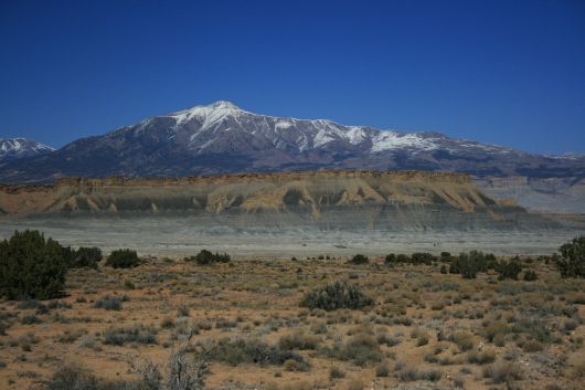 IMG_8452.jpg