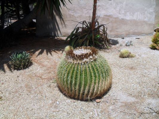 Urlaub_USA_San_Diego+Yoshua_Tree_038.jpg