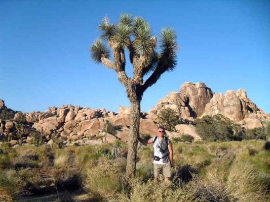 Urlaub_USA_San_Diego+Yoshua_Tree_064.jpg