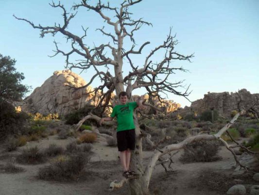 Urlaub_USA_San_Diego+Yoshua_Tree_073.jpg