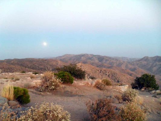 Urlaub_USA_San_Diego+Yoshua_Tree_079.jpg