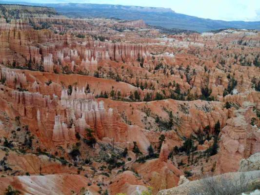 bryce+Las_Vegas_018.jpg