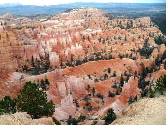 bryce+Las_Vegas_027.jpg