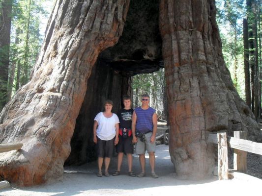 mammoth+yosemite_073.jpg