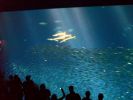 USA_2010_Tag_3_Bilder_009.jpg