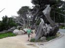 USA_2010_Tag_3_Bilder_034.jpg