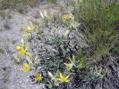 las_vegas,_death_valley,_mammoth_lakes_011.jpg