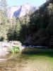 mammoth+yosemite_033.jpg
