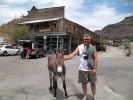 usa_2010_oatman+_grand_canyon_008.jpg