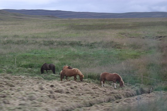 Bild_490.jpg
