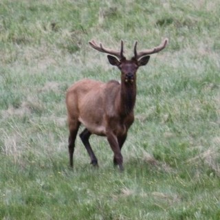 IMG_0376.JPG