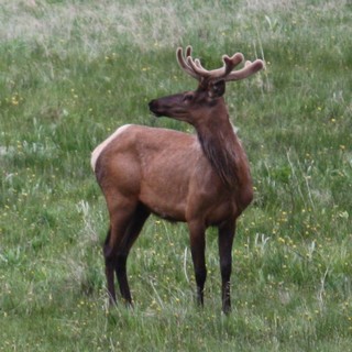IMG_0377.JPG