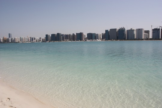 IMG_4313.jpg