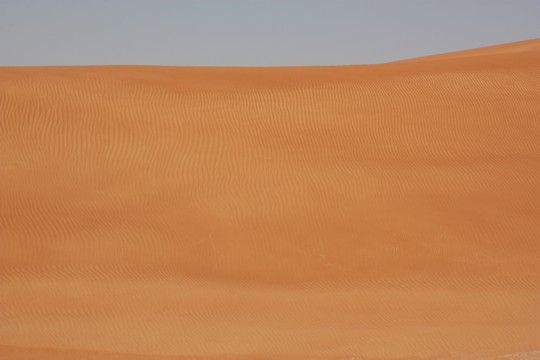 IMG_4585.jpg