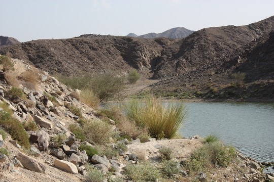 IMG_4675.jpg
