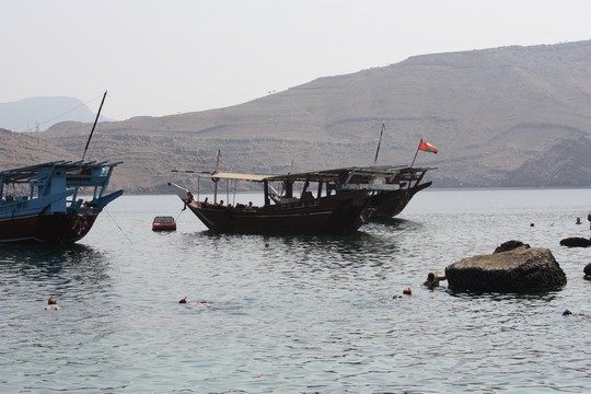 IMG_4959.jpg
