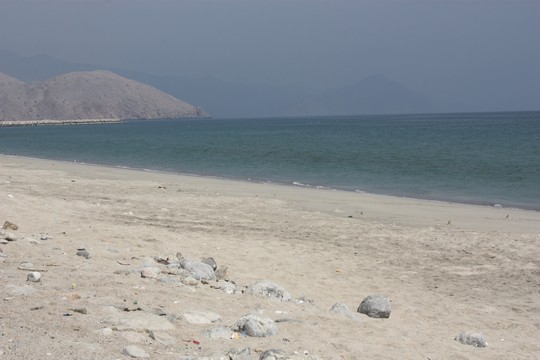 IMG_5219.jpg