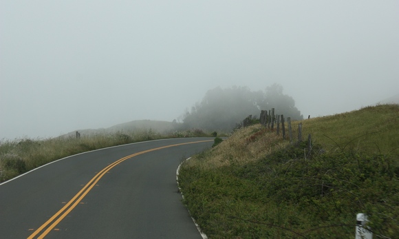 IMG_7314.JPG