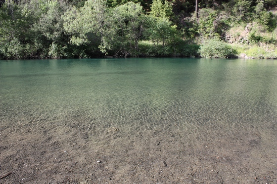 IMG_7427.JPG