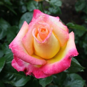 IMG_8308.JPG