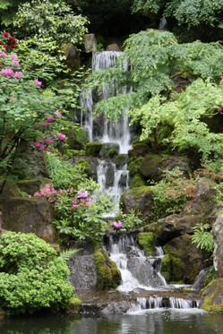 IMG_8385.JPG